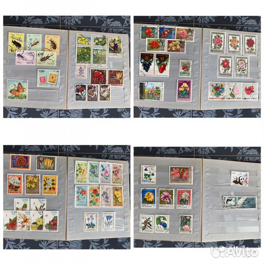 Почтовые марки