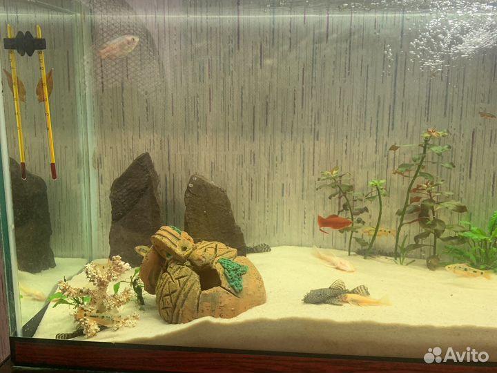 Аквариум 72 л со всем