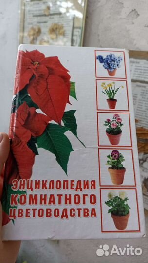 Энциклопедия комнатного цветоводства