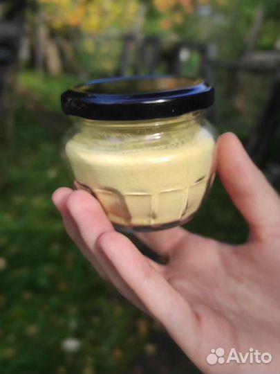 Пыльца карельской сосны
