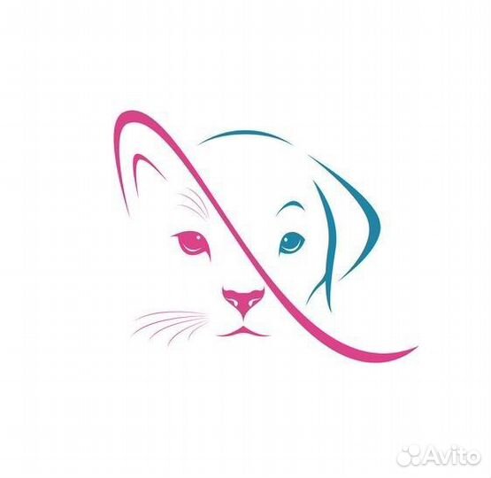 Ветеринарный врач