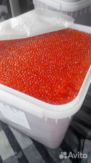 Красная икра 2023