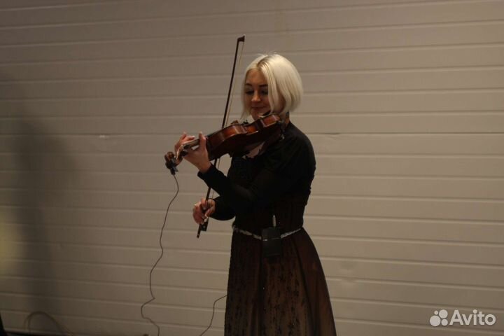 Скрипка на любой праздник