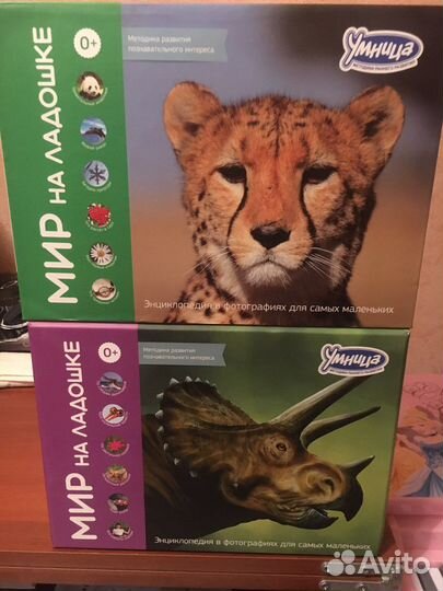 Развивающие наборы Умница «Мир на ладошке»