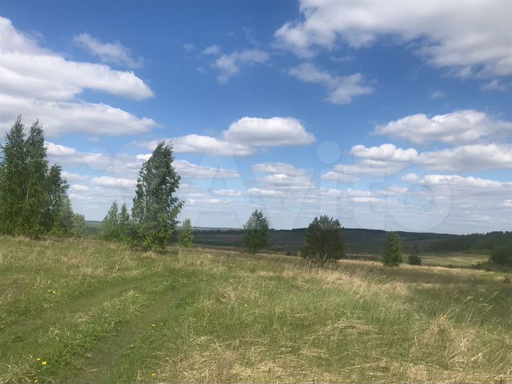 Участок 31,2 га (СНТ, ДНП)