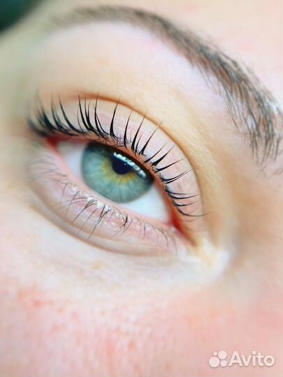 Вельвет ресниц /Ботокс 6Д. Оформление бровей