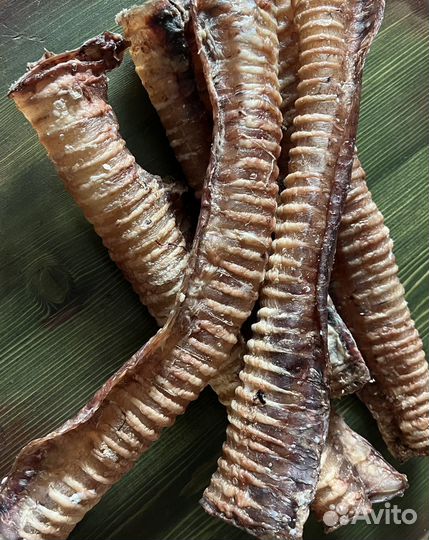 Лакомства для собак оптоми в розницу