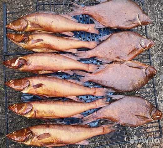 Судак, лещ, щука, карась горячего копчения