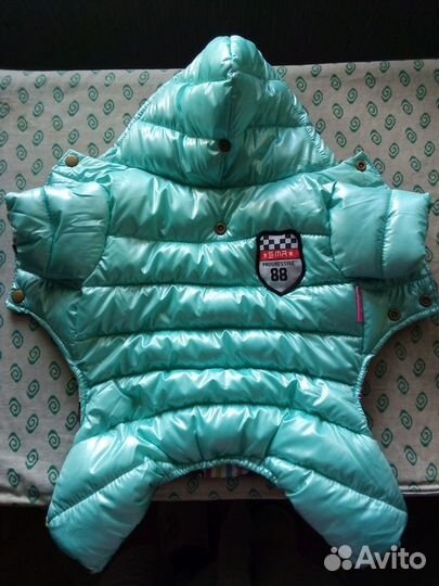 Одежда для собак мелких пород