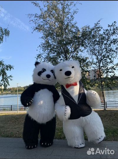 Поздравление Белый Мишка, Панда