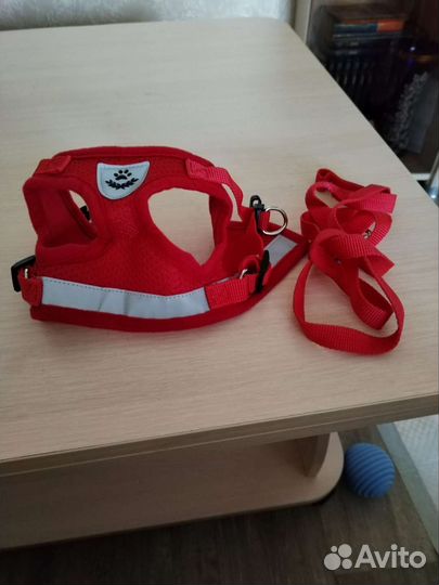 Домик для кошек и собак, шлейка, комбинезон