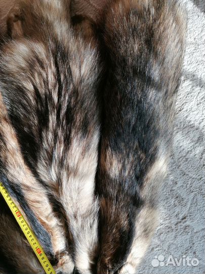 Шкурка животного барсука