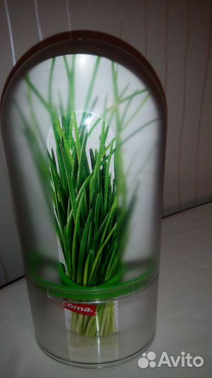 Контейнер для зелени (Чехия)