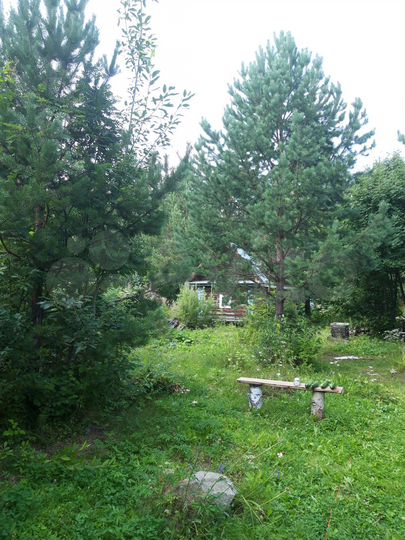 Участок 11,6 сот. (СНТ, ДНП)