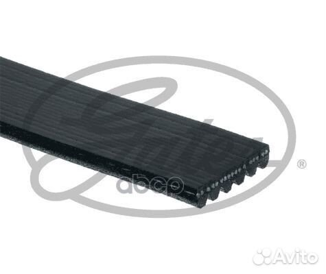 8653-10316) Ремень ручейковый gates 6PK1445 Gates