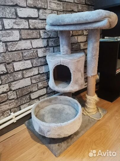 Когтеточка