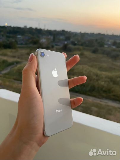 iPhone 8 256 gb ростест