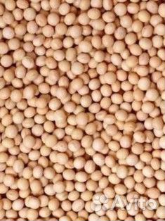 Семена гороха