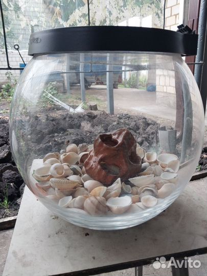 Аквариум
