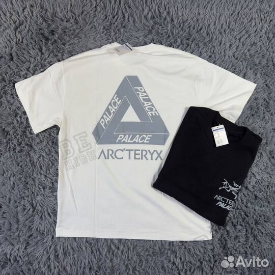 Arcteryx x palace футболка big logo