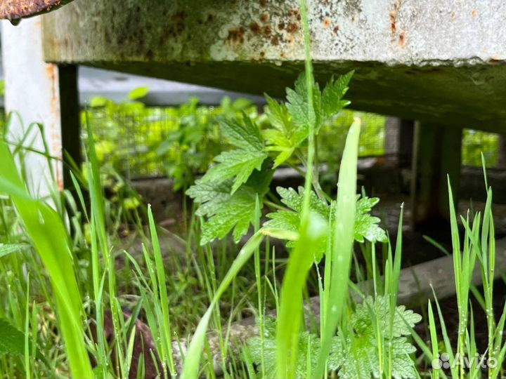 Бак для воды металлический