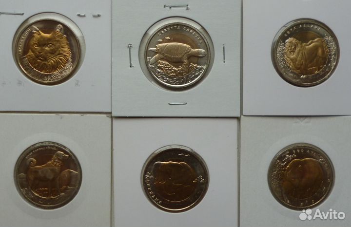 Красная книга Турции. Каракал и Каталбурун