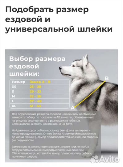 Шлейка ездовая, тяговая
