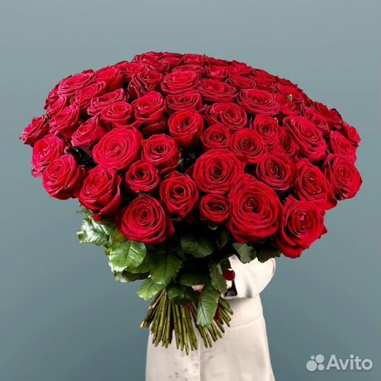 Высокие розы