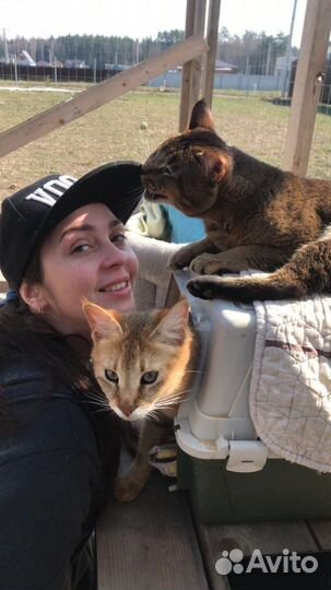 Чаузи f4 плодный мальчик