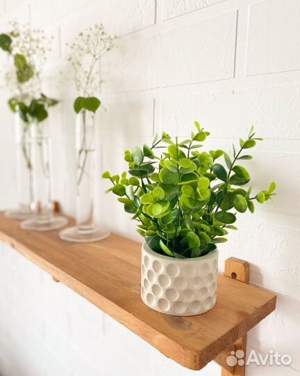 Стабилизированный мох в гипсовых кашпо