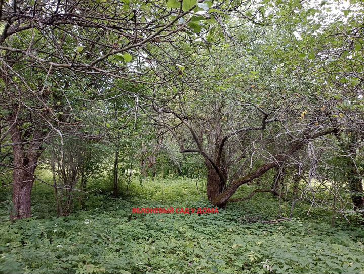 Участок 100 сот. (ИЖС)