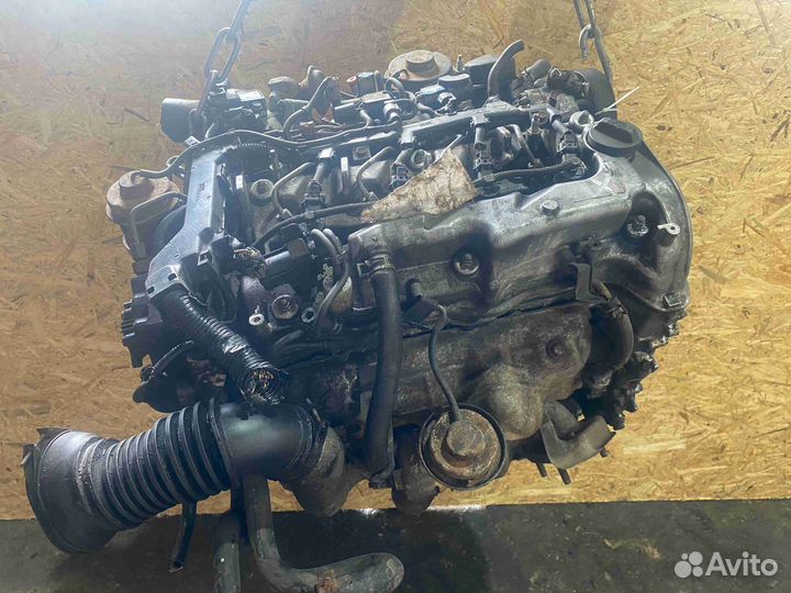 Двс (Двигатель) Honda CR-V (2004-2006) N22A2