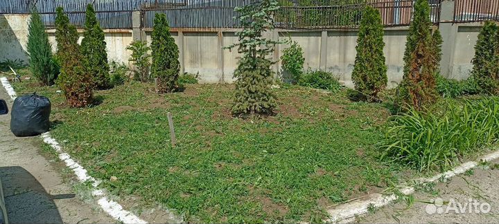 Благоустройство участка