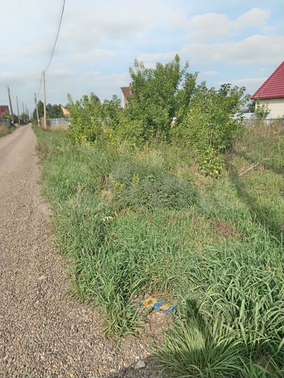 Участок 9,8 сот. (СНТ, ДНП)