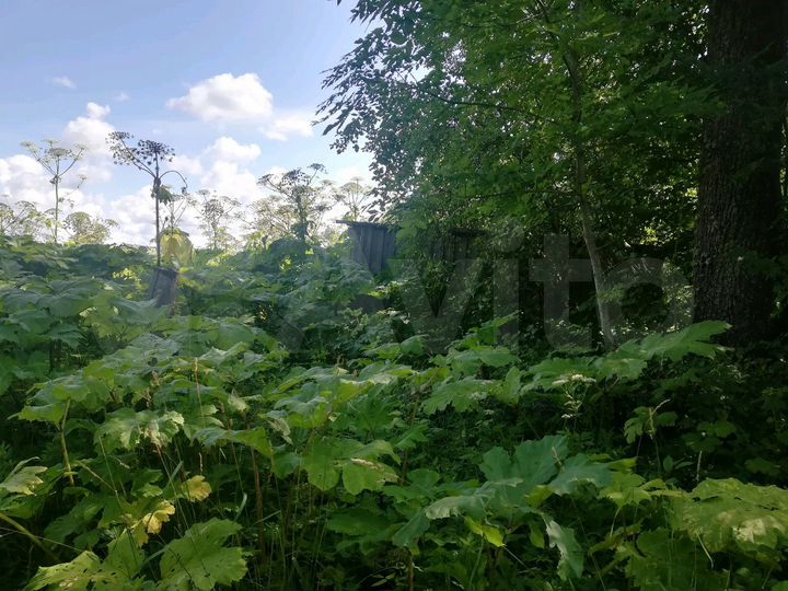 Участок 40 сот. (ИЖС)