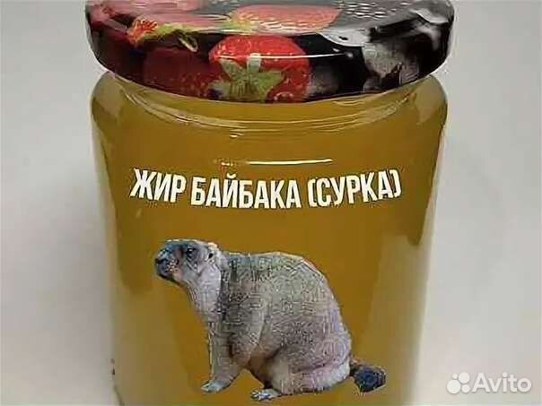 Жир сурка байбака