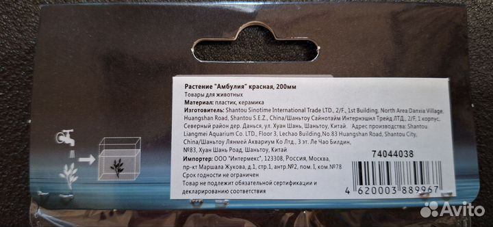 Аквариумное растение