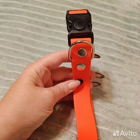 Поводок, ошейники оранжевый и светящийся