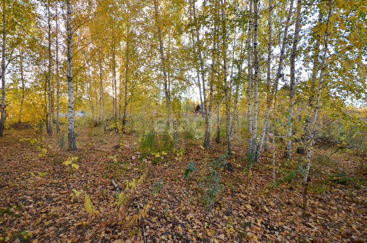 Участок 12 сот. (СНТ, ДНП)