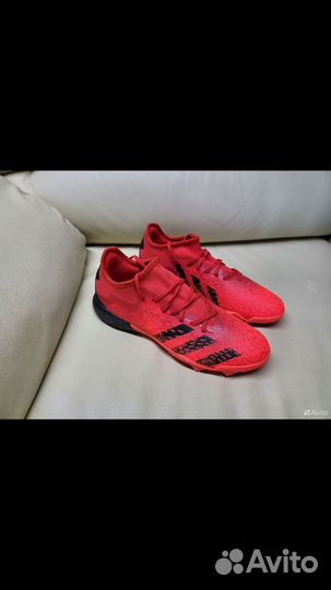 Сороконожки