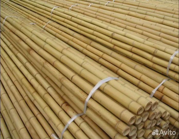 Бамбук на все случаи жизни)