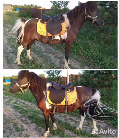 Седло для пони, ослика