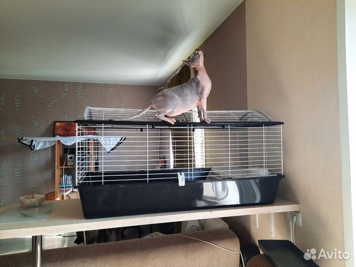 Клетка Ferplast Casita 120