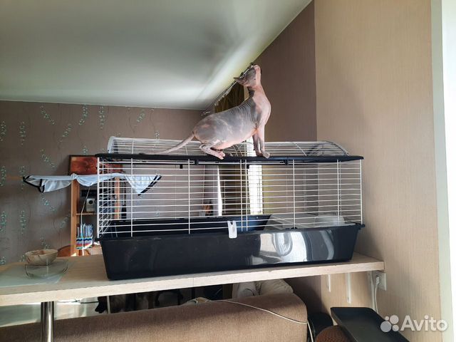 Клетка Ferplast Casita 120