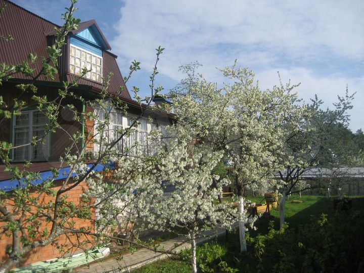 Дача 181,9 м² на участке 6,5 сот.