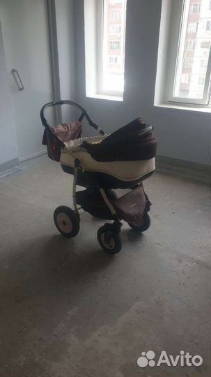 Коляска Zippy Verdi 2 в 1