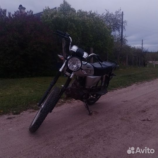 Продам альфу