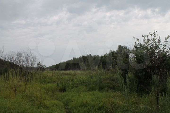 Участок 50 га (СНТ, ДНП)