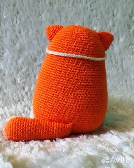 Кот «доброе утро»
