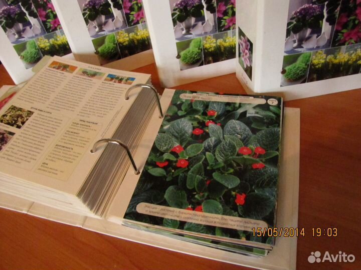 Цветоводство